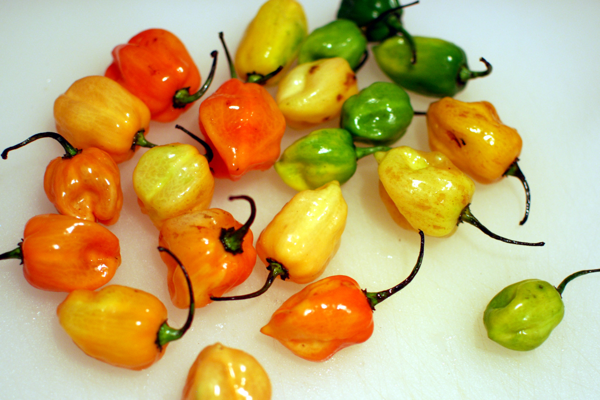 habaneros